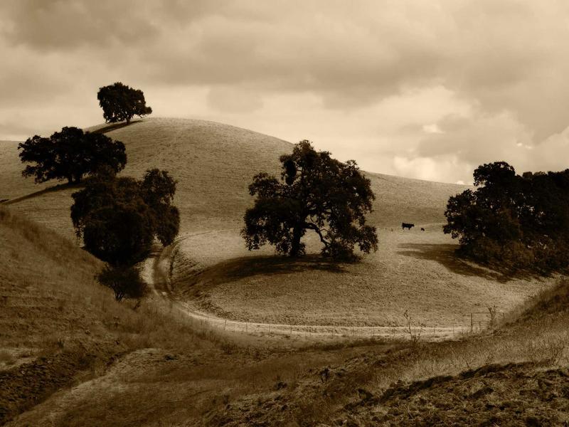 sudoku xy-wing screenshot 6